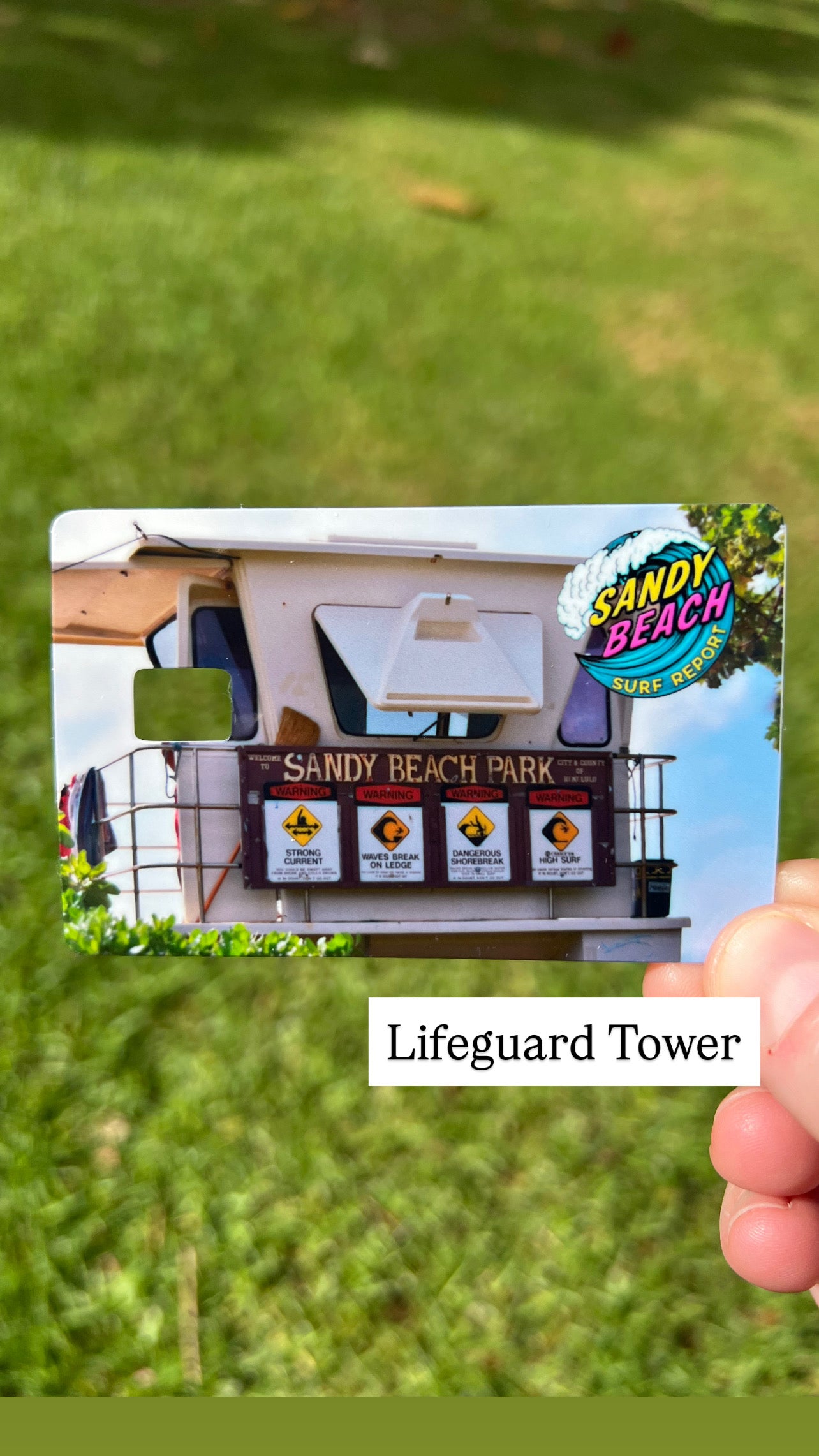 Sandy Beach Surf Report Card Skins