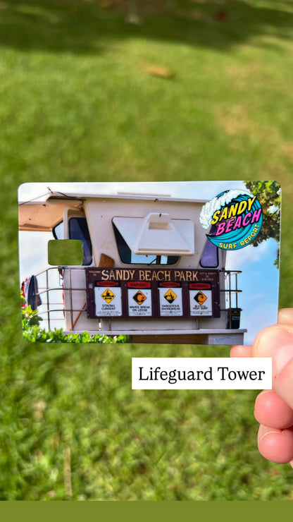 Sandy Beach Surf Report Card Skins