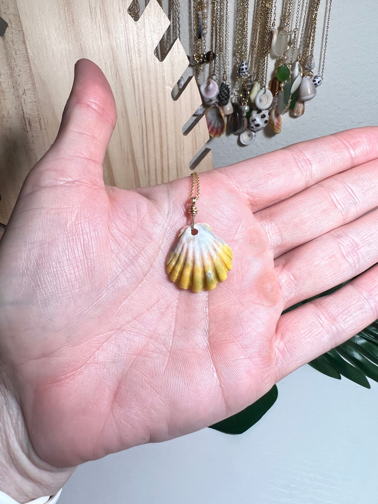 Rare Unique Sunrise Shell Necklace - Gold Filled