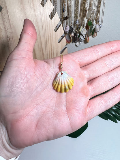 Rare Unique Sunrise Shell Necklace - Gold Filled