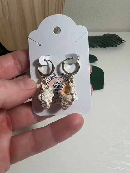 Triton Shell Huggie Earrings