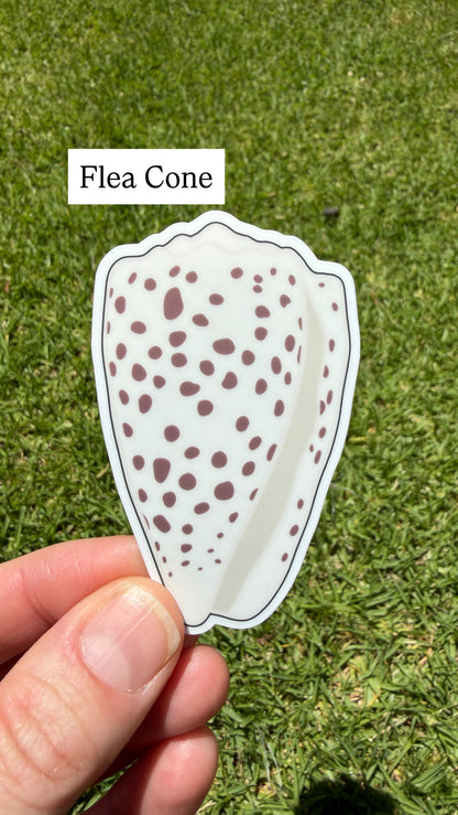 Seashell Stickers