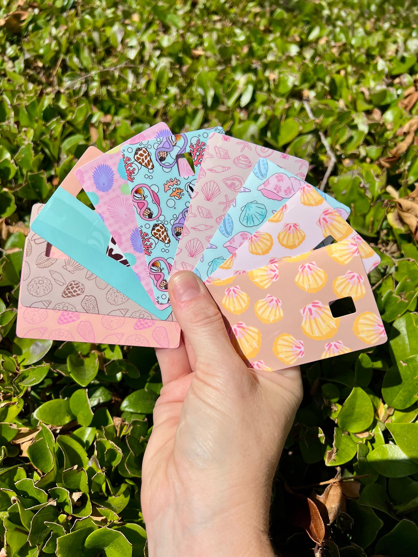 Seashell Card Skins
