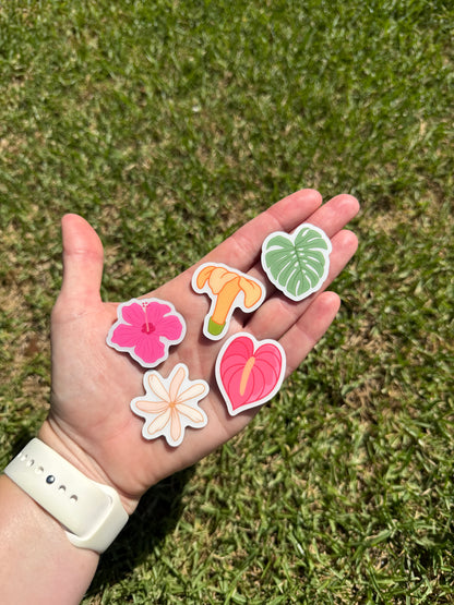 Coastal Magnet Sets – Sets of 5