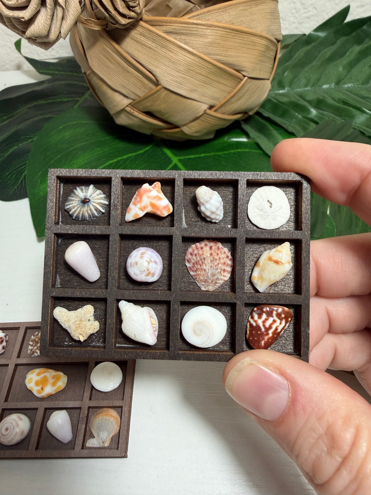 Tiny Treasure Tray