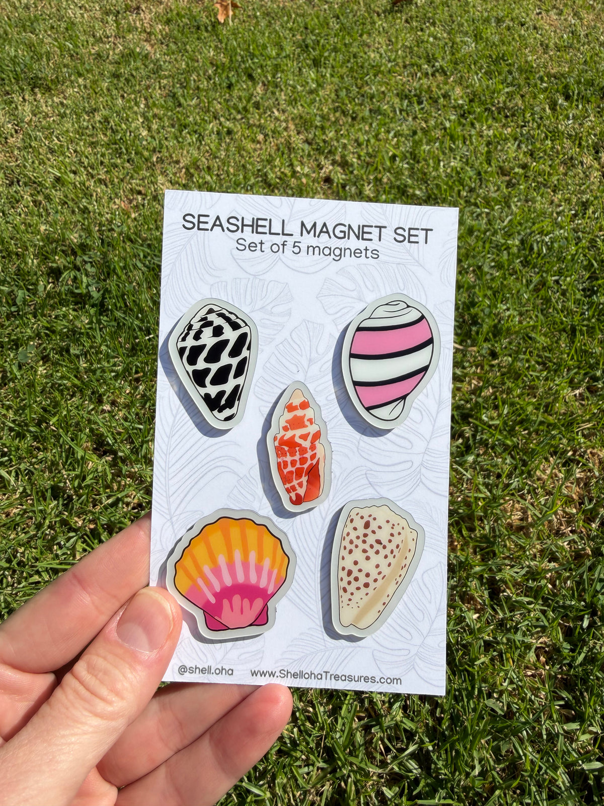 Coastal Magnet Sets – Sets of 5