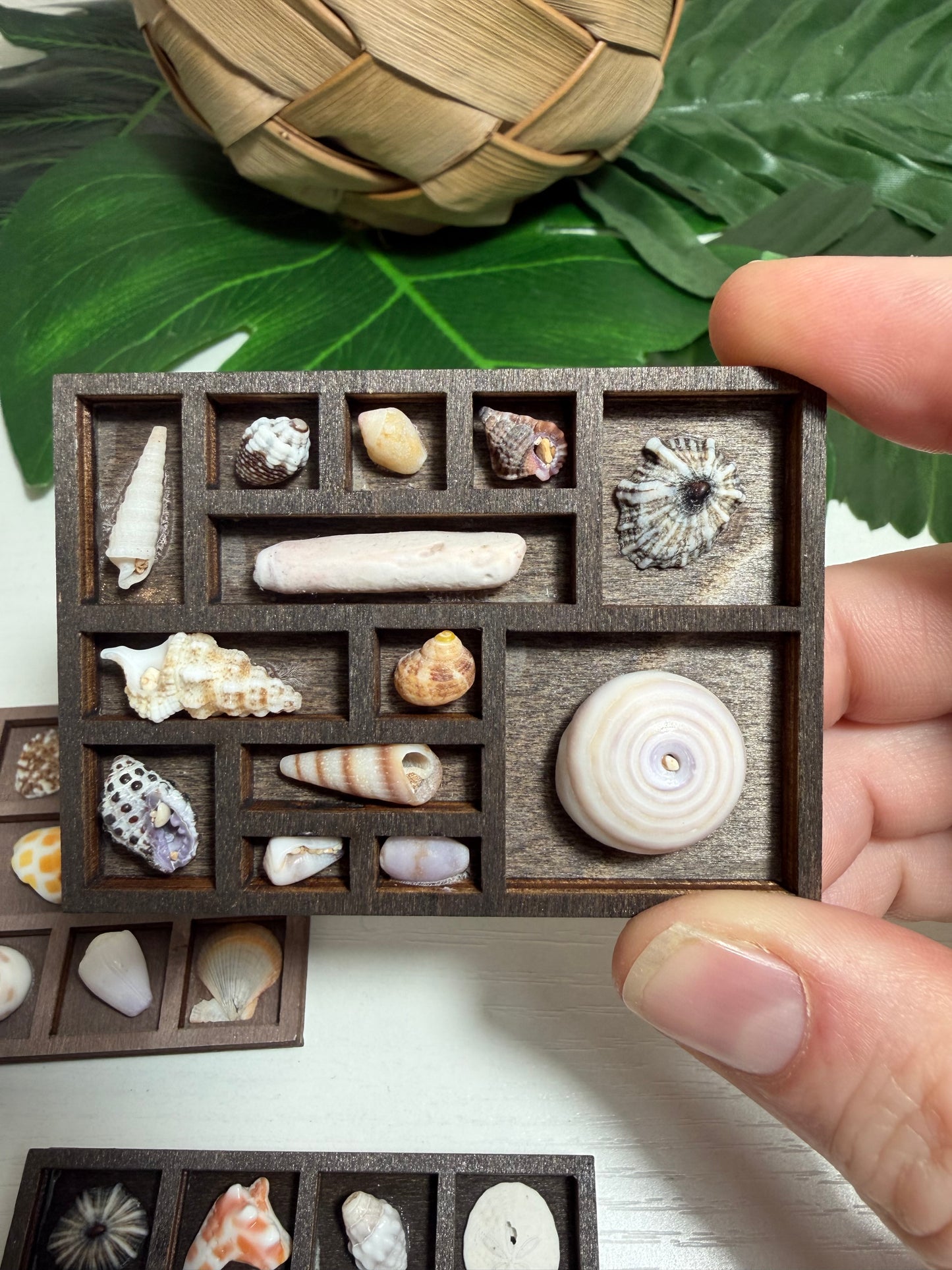 Tiny Treasure Tray