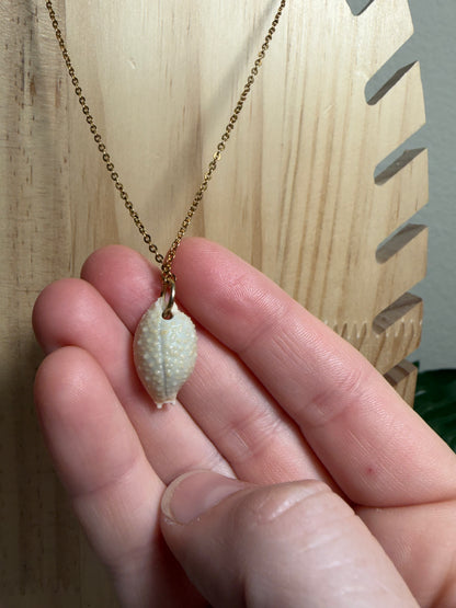 Nucleus Cowry Shell Gold Necklace