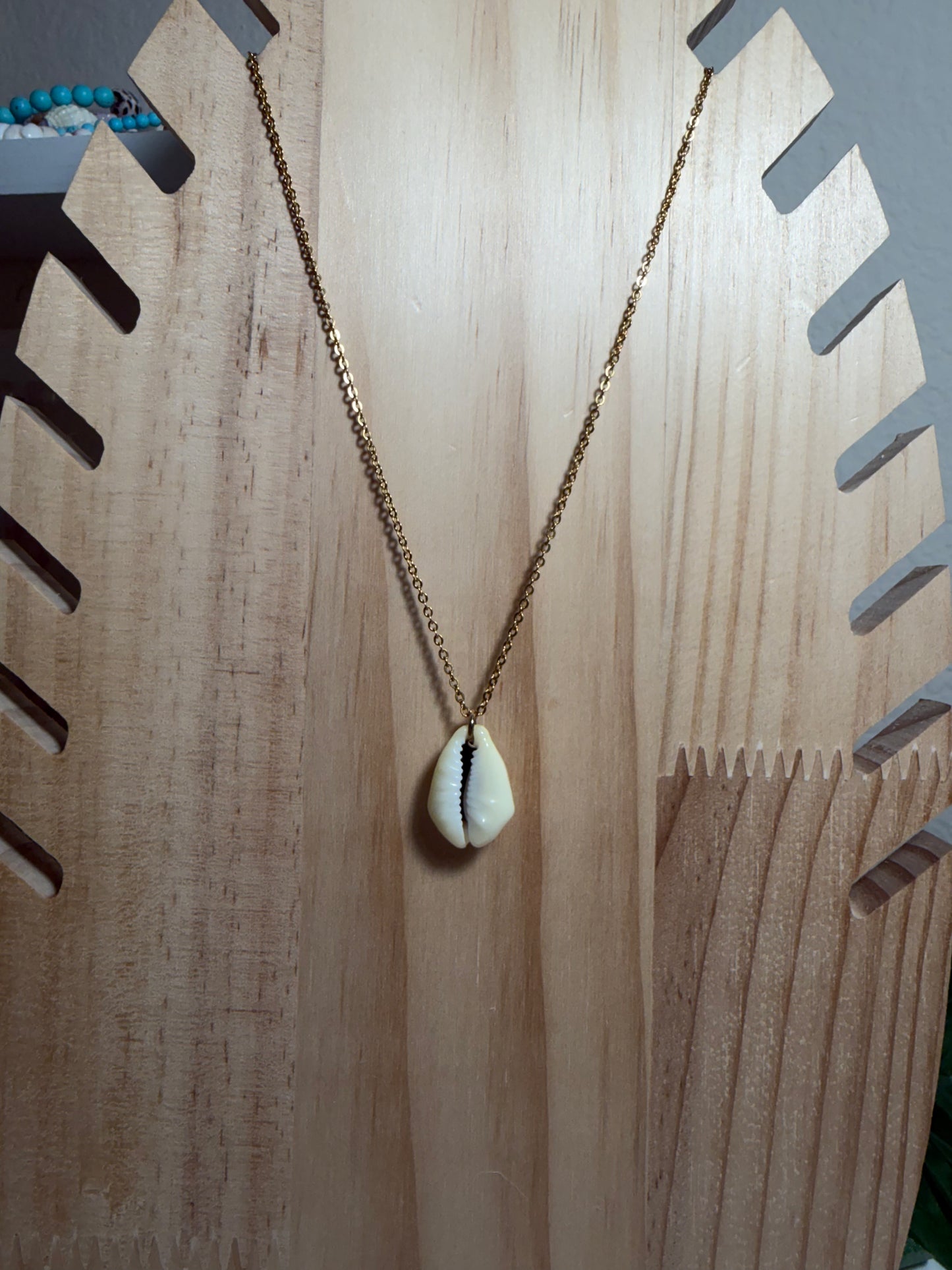Money Cowry Shell Gold Necklace