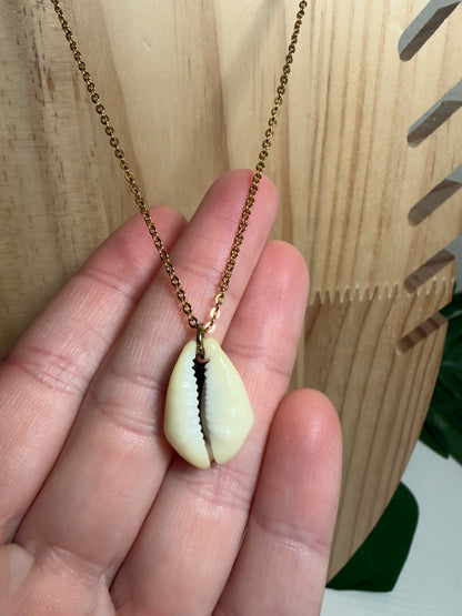 Money Cowry Shell Gold Necklace