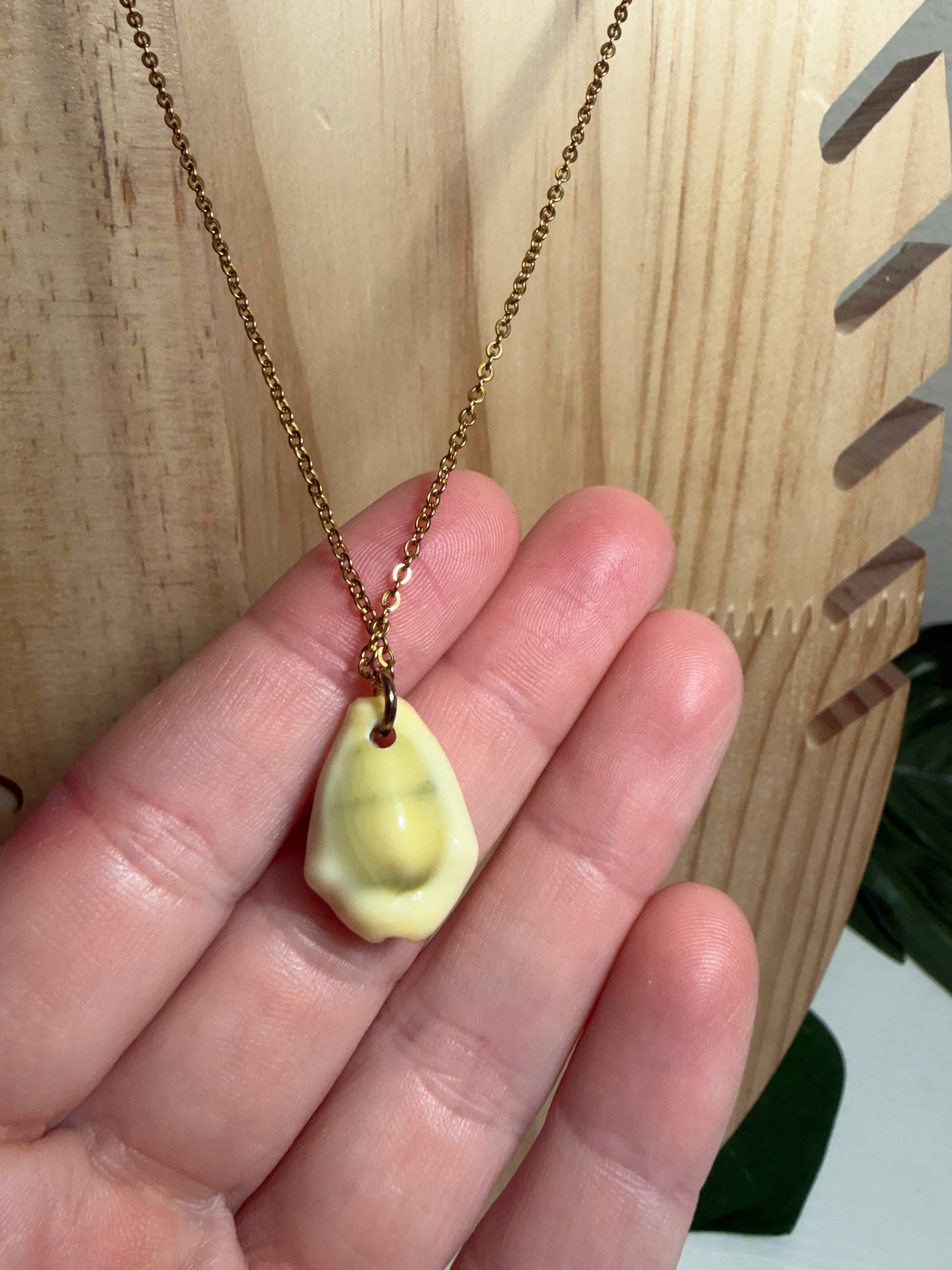 Money Cowry Shell Gold Necklace