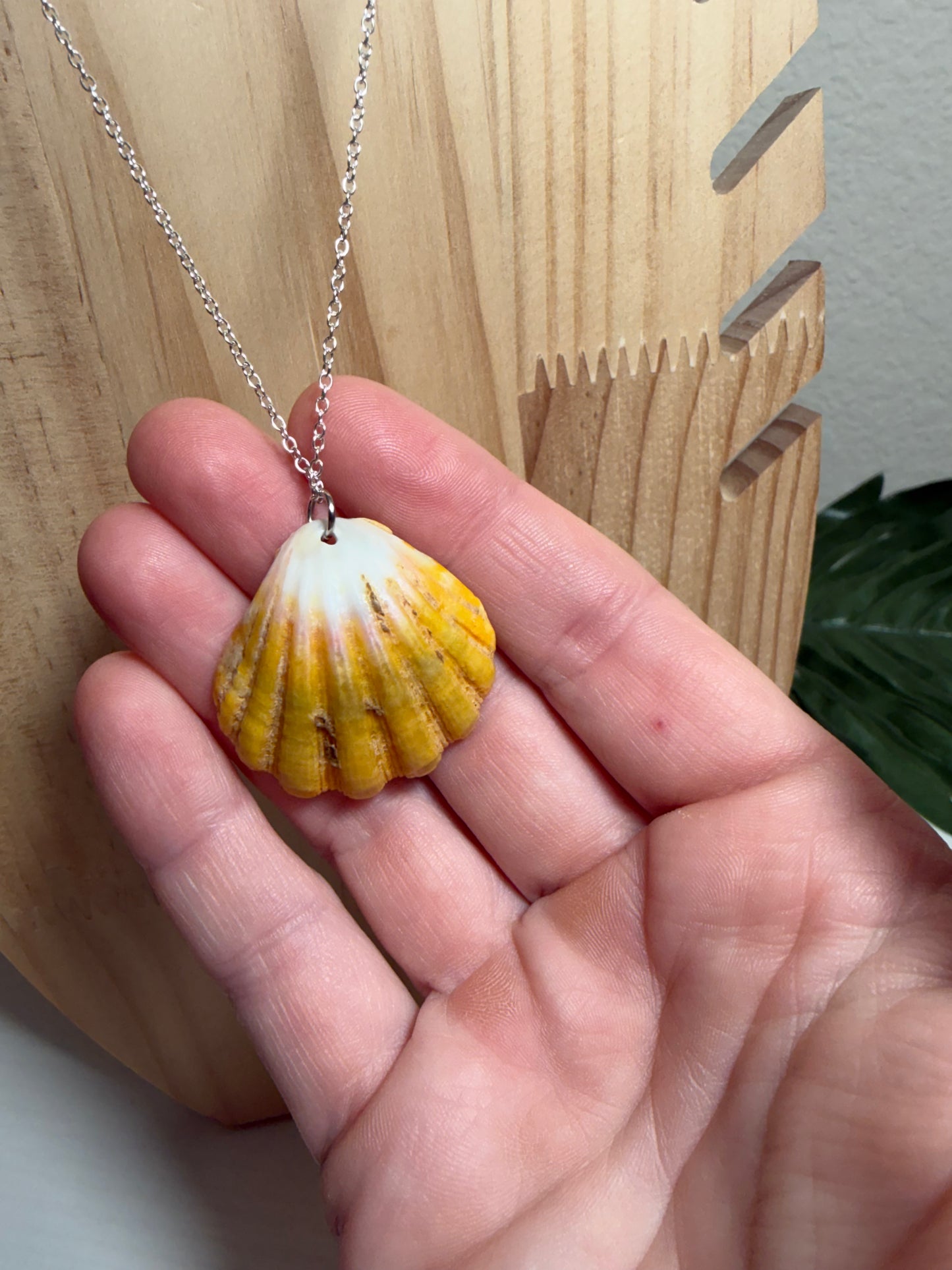 Hawaiian Sunrise Shell Silver Necklace
