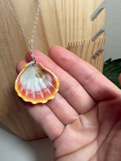 Hawaiian Sunrise Shell Silver Necklace