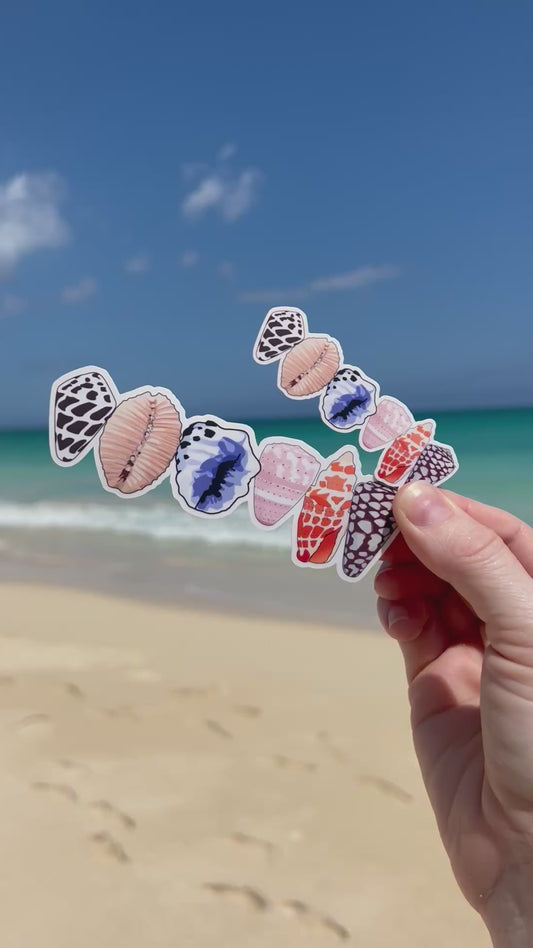 Shell Line Sticker