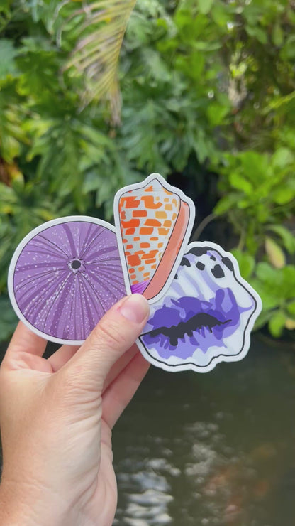 Seashell Stickers