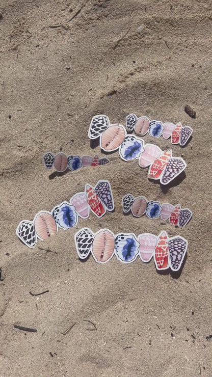 Shell Line Sticker