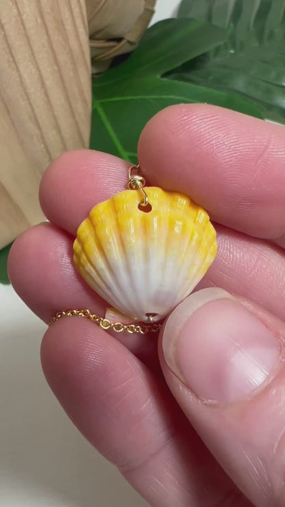 Sunrise Shell Bracelet - Gold Filled