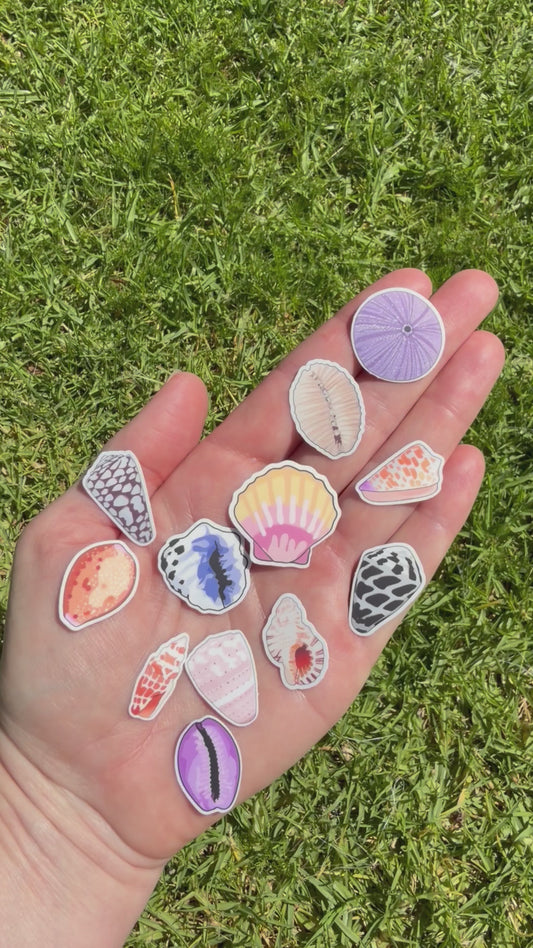 Mini Seashell Stickers