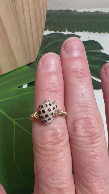 Drupe Ring - Gold Filled - Size 7