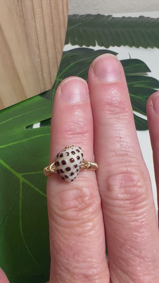 Drupe Ring - Gold Filled - Size 7