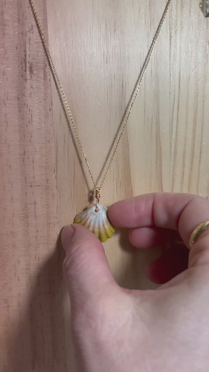 Rare Unique Sunrise Shell Necklace - Gold Filled