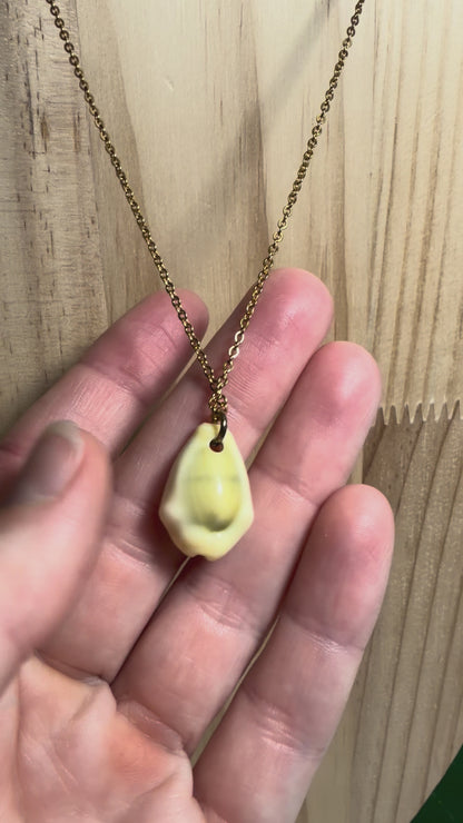 Money Cowry Shell Gold Necklace