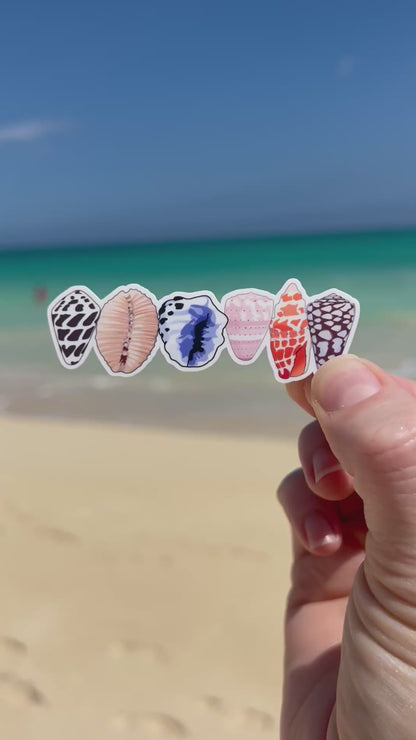 Shell Line Sticker