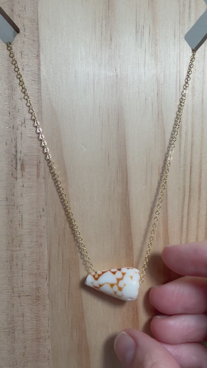 Marbled Cone Floating Shell Necklace – Gold Filled | 17"