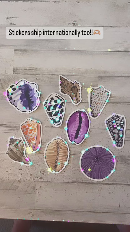 Seashell Stickers