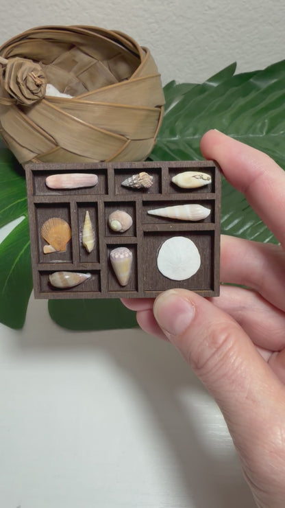 Tiny Treasure Tray