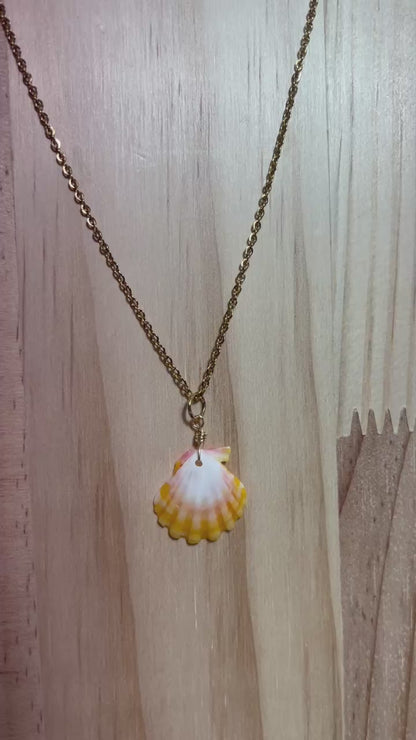 Sunrise Shell Necklace
