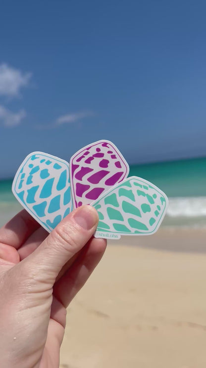 Neon Hebrew Cone Shell Stickers