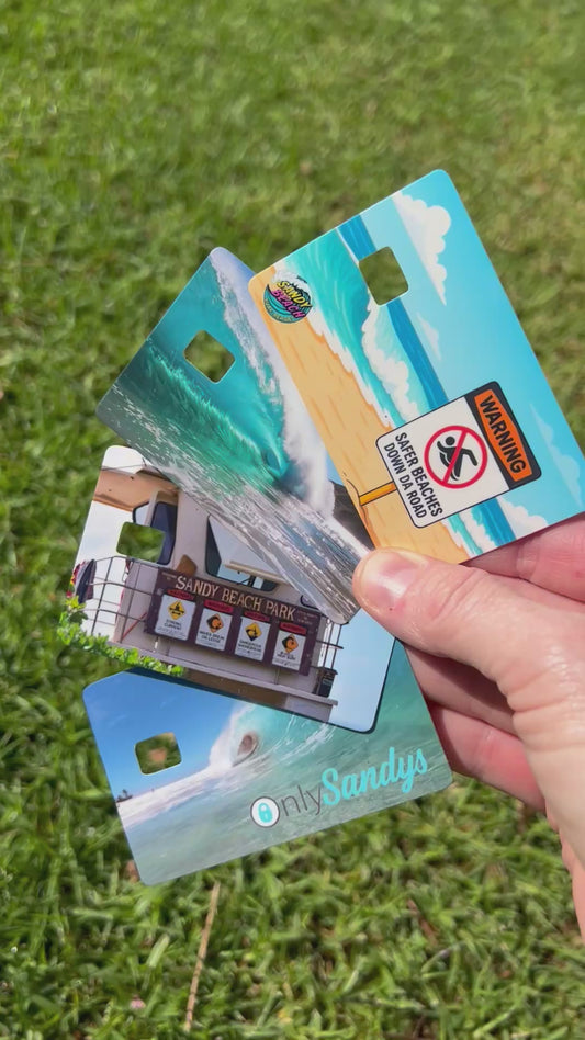 Sandy Beach Surf Report Card Skins