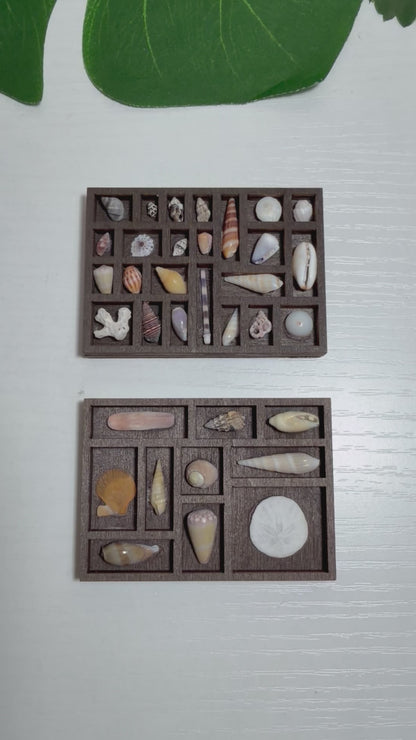 Tiny Treasure Tray