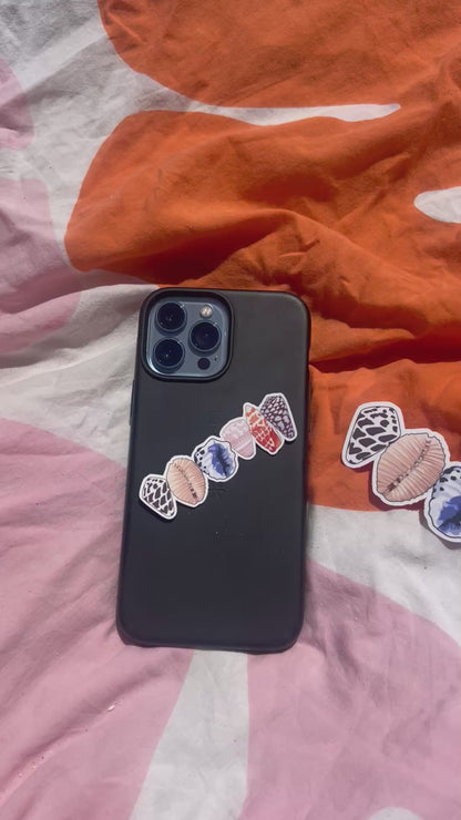 Shell Line Sticker