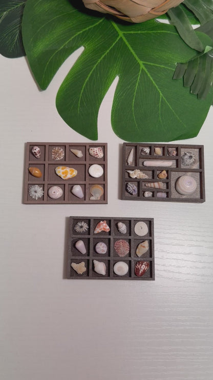 Tiny Treasure Tray