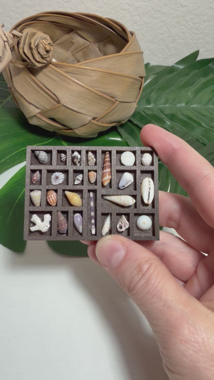 Tiny Treasure Tray