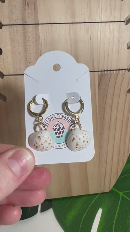 Hieroglyph Clam Huggie Earrings