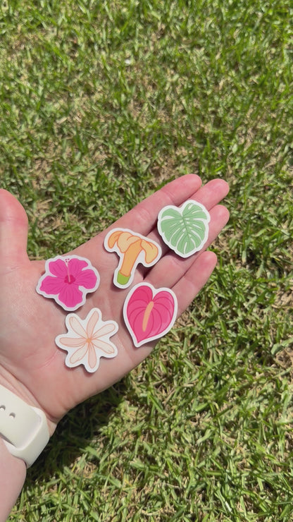 Coastal Magnet Sets – Sets of 5