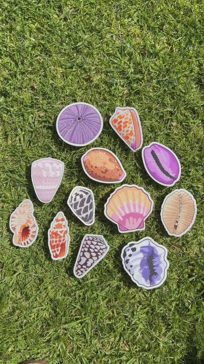 Seashell Stickers