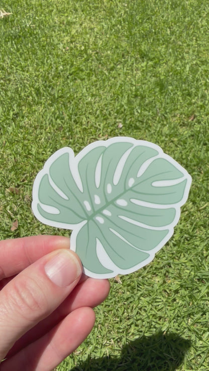 Monstera Leaf Sticker