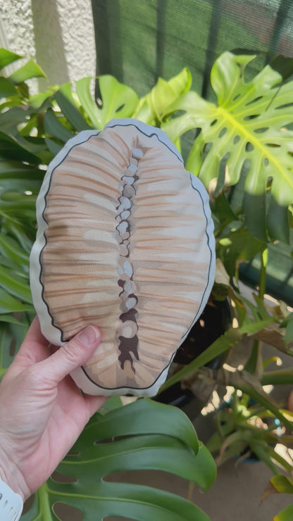 Mini Seashell Pillows