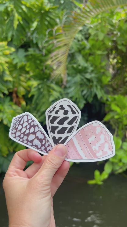 Seashell Stickers