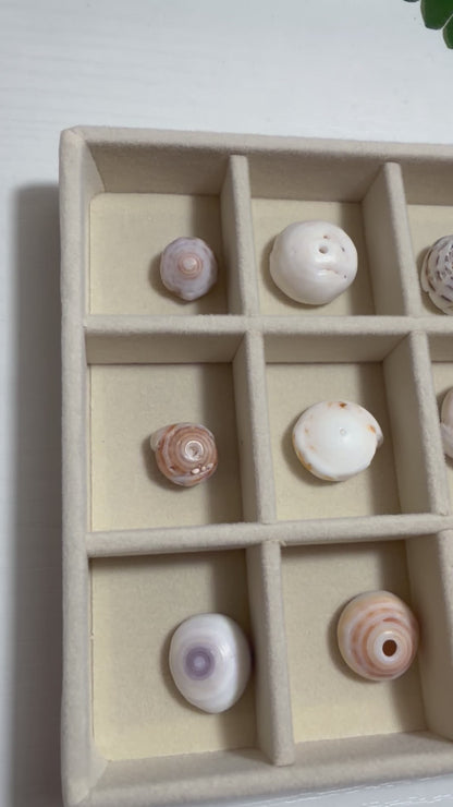 Hawaiian Puka Shell Treasure Tray | One-of-a-Kind Collection