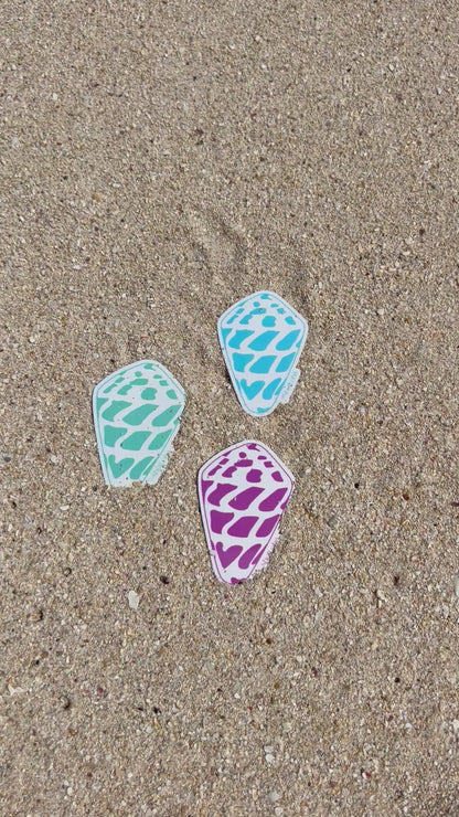 Neon Hebrew Cone Shell Stickers