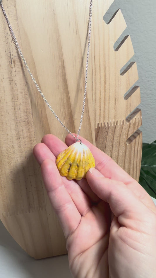 Hawaiian Sunrise Shell Silver Necklace