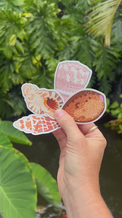 Seashell Stickers