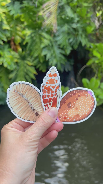 Seashell Stickers